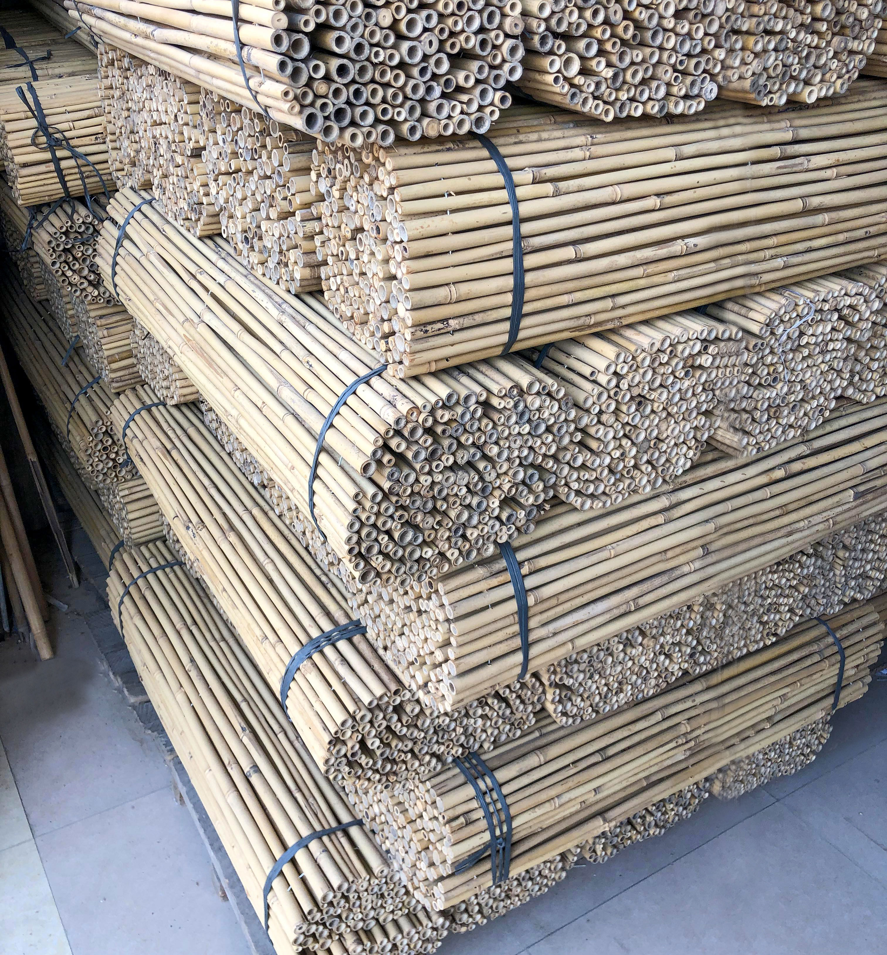 BIG BULK BAMBOO